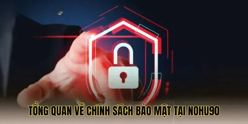Tổng quan về chính sách bảo mật tại Nohu90